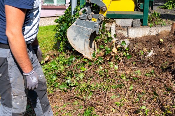 Cost of Hedge Removal Service in Auburn
